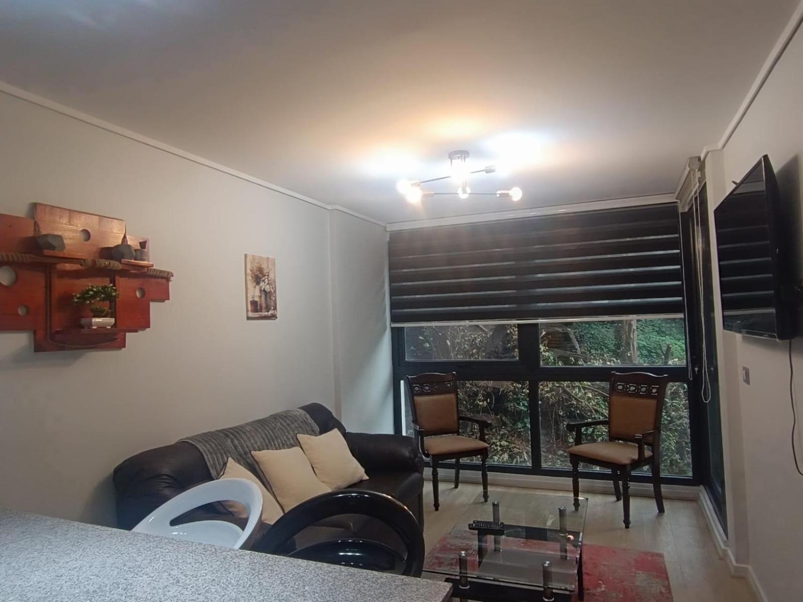 Departamento 57m2 Costanera Valdivia, Parking Privado Bodega Apartamento *